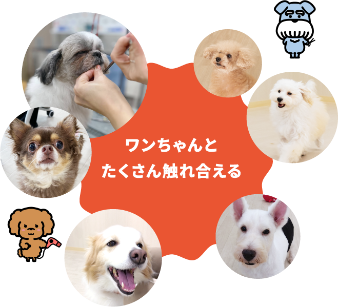 新潟ペット動物専門学校
