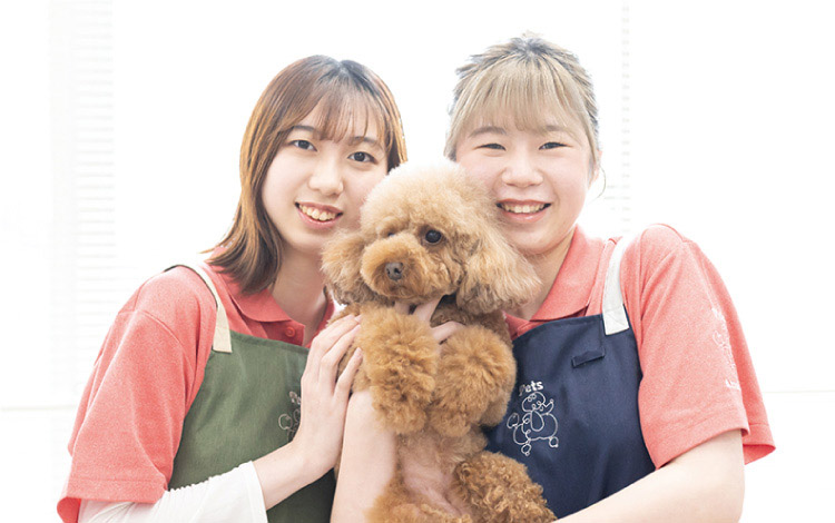 新潟ペット動物専門学校